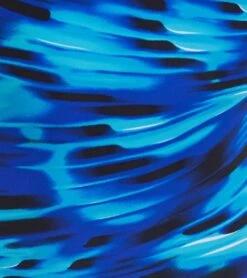 Supersonic One Piece Swimsuit (SwimOutlet Exclusive) -Speedo Store 5669681004712 blue 4a