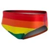 Rainbow Brief Swimsuit