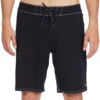 Billabong Men's All Day Pro 19" Boardshorts