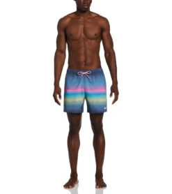Nike Men's Horizon Stripe Swim Trunks -Speedo Store 7761617617064 bluelightning 4a